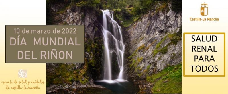 Día Mundial del Riñón Día Mundial del Riñón